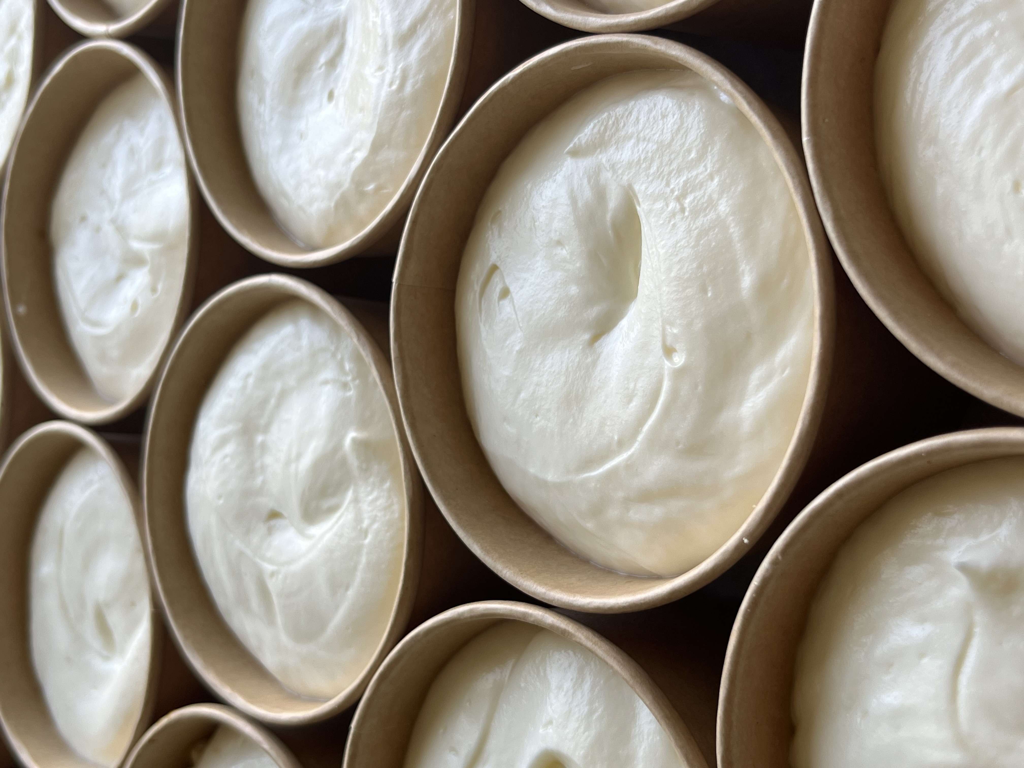 Artisan Bread